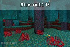 Minecraft 1.16